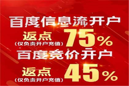 百度竞价推广公司经典案例回顾：网络广告的变革与创新